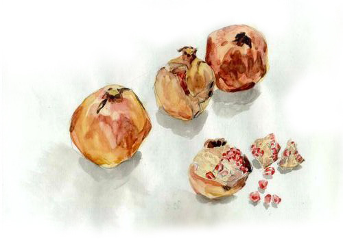 Плоды граната. Акварель. 2005 год. Pomegranates. Watercolours. Year of 2005.