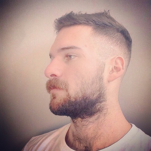 scruffy JIZZ monkey!