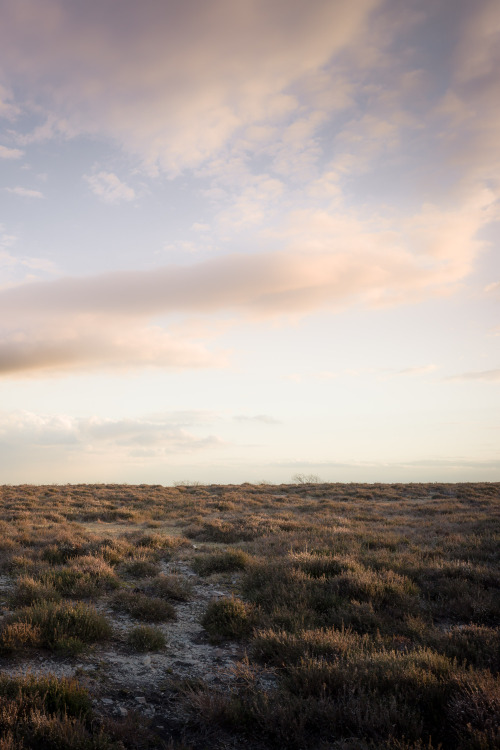 ardley: Storm Beyond MoorlandPhotographed by Freddie Ardley