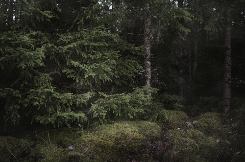 heathenharnow: Där långa skuggor ruva - Part V - XXV, XXVI© Heathen Harnow 