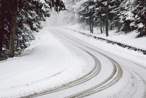 convexly: That road. by ikhals on Flickr.