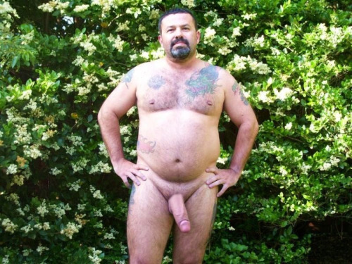 redrocketbear:  unitedbears:  UNITED_BEARS  Thick beef.