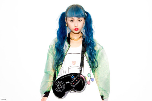 evangelionna:  sega controller bag