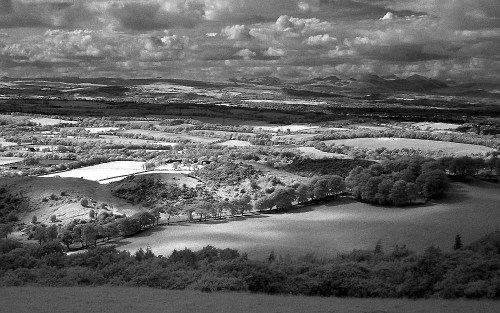 If you could see only Near Infrared.( Sources:www.armadale.org.uk/phototech02.htm )