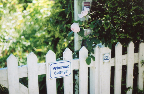 ingelnook:  85, Primrose Cottage by Millie Clinton. on Flickr.