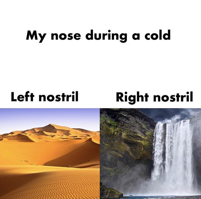 30-minute-memes:Why is this so accurate?!