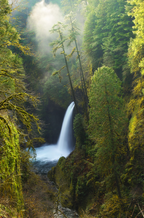 natureac:  This blog will make you feel at peace
