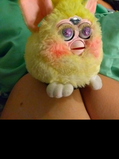 doujinshii:ohh…. fubby Well anyway I made a cockatiel furby and her name is banana!! I.. would die f