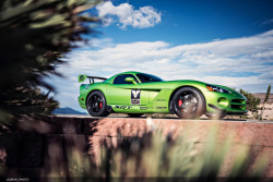 automotivated:  Snake in the Grass (by Corey Dav!s)