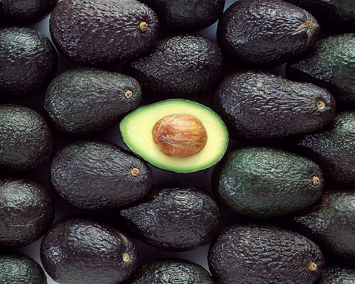 youknowyouwantsit:  scorpieaux:  dirtycartunes:  top 10 selfies of 2k13.  Avocado