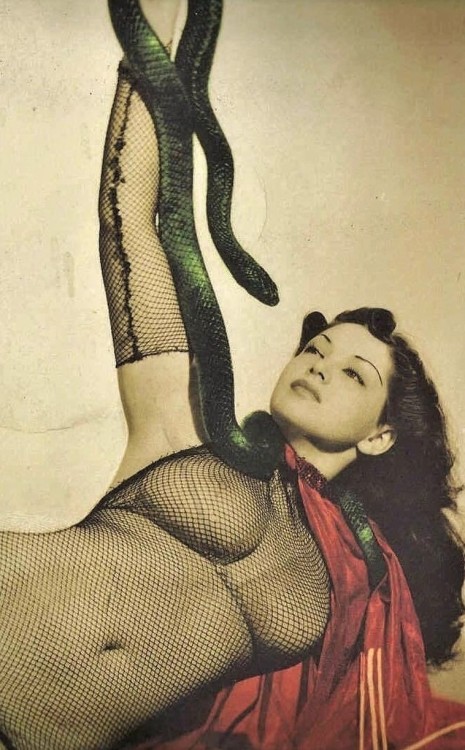  Zorita was a 1940s burlesque dancer known for performing spectacular acts with her two pet boa cons