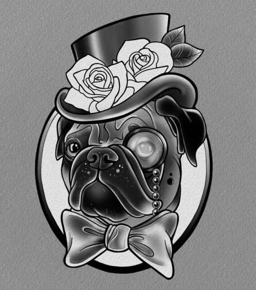 Dapper pug