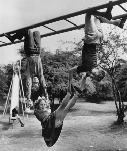 Two boys, a girl, and some monkey bars  1954