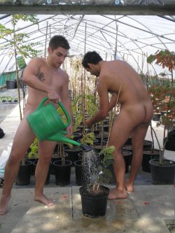 nudeathleticguys:  exhib at work, gay workers,