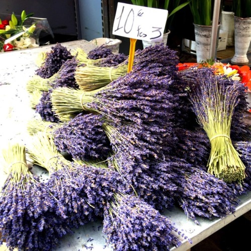 Bouquets de lavande, marché hebdomadaire, Orange, Vaucluse, 2016.