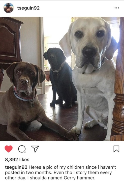galchenyum: there’s SO MUCH going on here