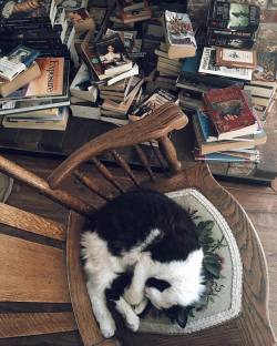 wildhobbithome:  Off to tackle this long-overdue jumble of books. I’m not sure where they’ll go, though. I’m thinking of taking inspiration from Mo and Meggie’s home in Inkheart and just pile them in towering stacks all throughout the house.😄