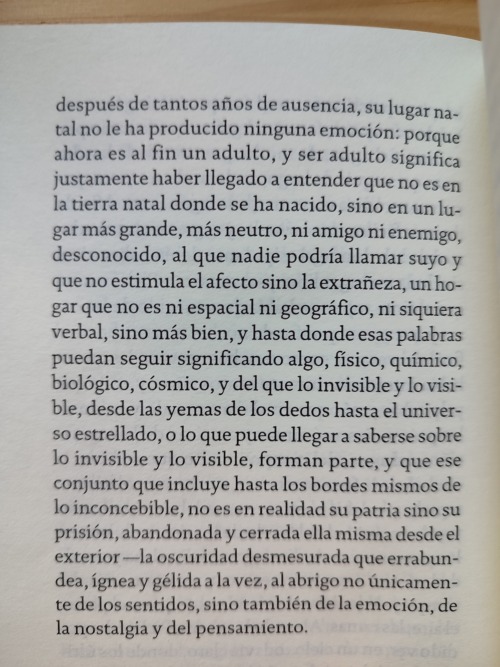 Juan José Saer, La pesquisa, 1994.