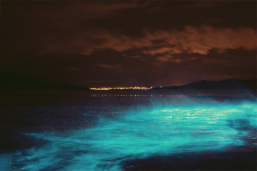 natureac:  Nature Blog