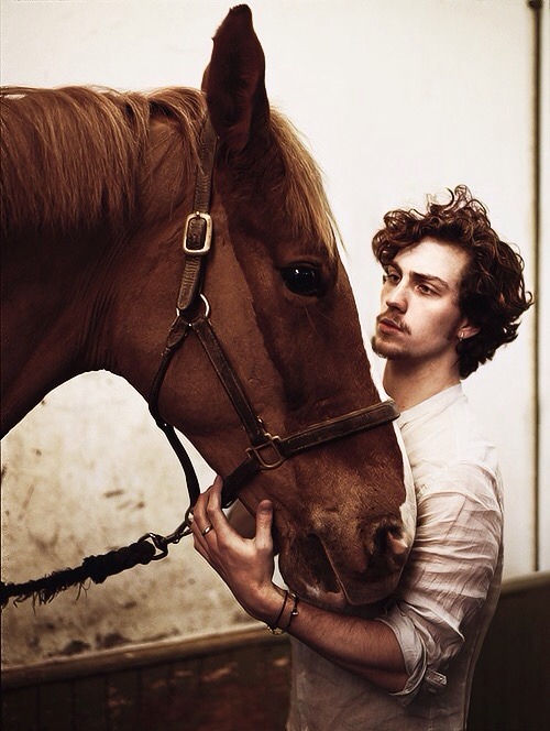 iusedtobedesdemona:  Eh……………nice horse. 
