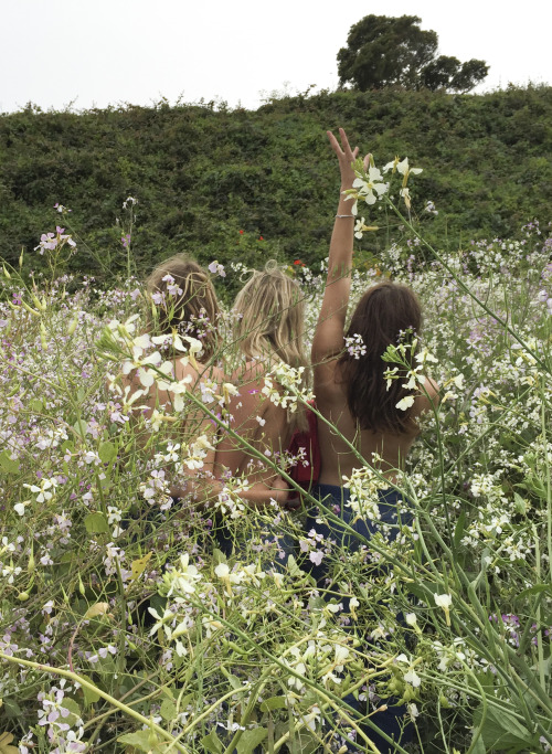 cheryllouisehumphreys: Golden Gate Girls