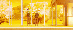 imayoshis:free! + colors
