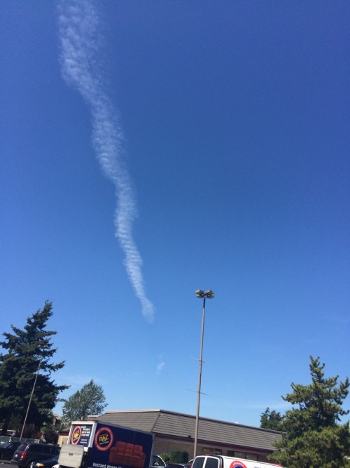 deathgripsforcutie: care to explain this chemtrail dennys???