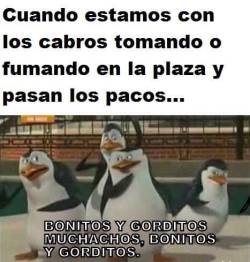 jaimejoker:  Lo mismo cuando estás haciendo desorden y pasa el director.  Saludos a la pinche vieja,  ¡DEJA DE SER TAN PINCHE!