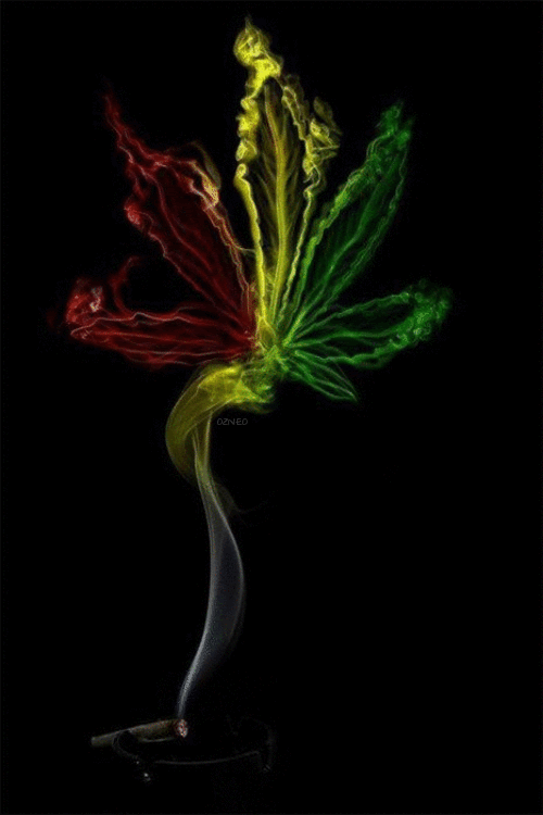 Gay