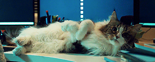 tser:Purrrrrrrrrrr