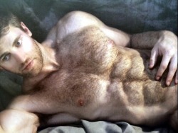 simplygay95:  Hairy and hunky