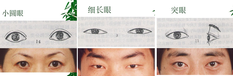 exrpan: mirrepp:  14 Different kinds of asian eye shapes.  I’m so glad someone