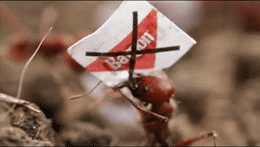karenhurley:  Advertising Agency: Giovanni Draftfcb BrazilNo CGI, these are all real ants willing to protest the use of Baygon Watch the full video here . 