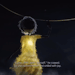 ejdaha:<Yellow in horror>Inspired by this video
