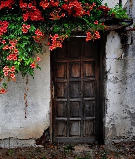 Boyasızdı Tahta Kapı, Bu Yanıyla Güvenirdim Ona…