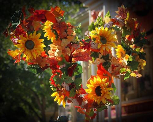 It&rsquo;s so fun in the fall &hellip; Oh I love the colors of the fall. #disneylandparis #fall #har