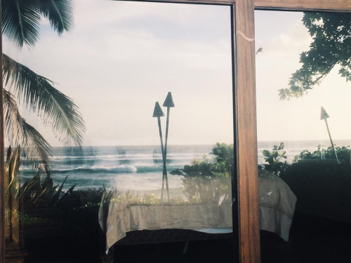 coconuttbutts:would be the best view to wake up to