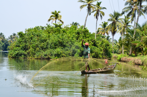 Photographic highlights of backwaters of Allepey