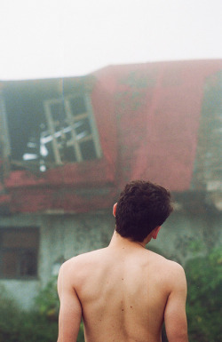 pivanbs2:  sem título by Dear Pao, on Flickr. 