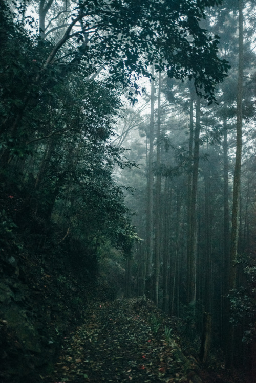 90377: by ひとり登山(写真)部 LOG