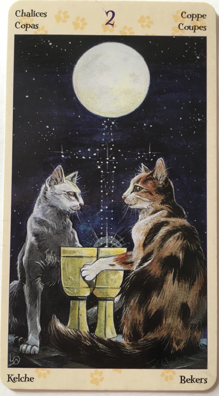 heartlocks:  Tarot of Pagan Cats ✨