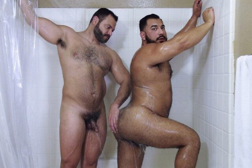 strongbears:  <b> FOLLOW @STRONGBEARS - http://www.strongbears.tumblr.com </b> 