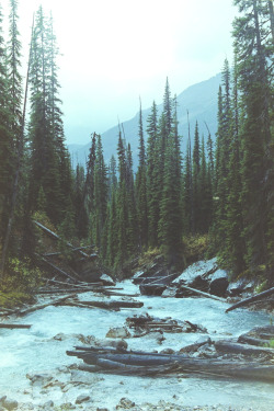 man-and-camera:  Yoho National Park, BC ➾