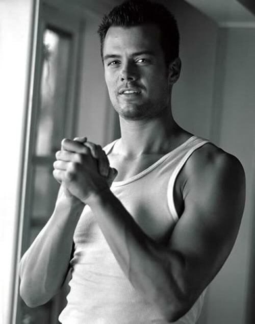 Josh Duhamel 