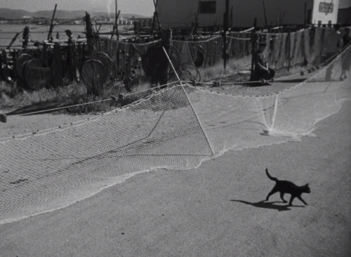 agnesvarda:La Pointe-Courte (Agnès Varda, 1955)