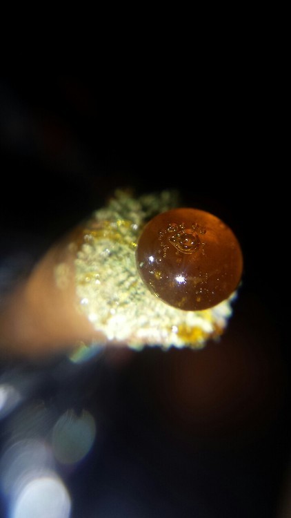 decals4us:  How do you top off your blunt? 