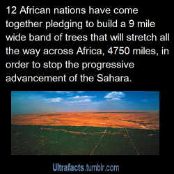 obviouslybenhughes:  jenniferrpovey:  jumpingjacktrash:  becausegoodheroesdeservekidneys:  ultrafacts:  Source For more facts follow Ultrafacts  YOOOOOOOOOOOOOOO Senegal, Mauritania, Mali, Burkina Faso, Niger, Nigeria, Chad, Sudan, Eritrea, Ethiopia,