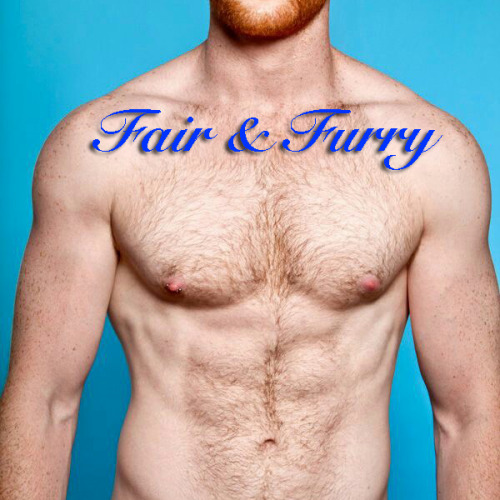 Check it out! Furry Blondes, Redheads, and guys with auburn hair!More… Fair &amp; Furry |