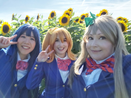 I visited a sunflower field the other weekend with some friends! I had a really fun time bringing Ko