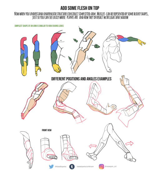 kasiaslupecka:This week I’ve prepared some tips for everyone who is confused with arms. I know that 